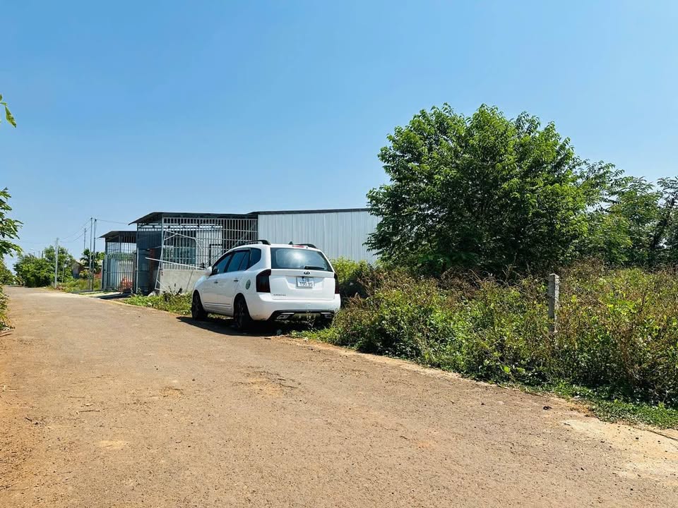 Đất Nền Mặt Tiền Nhựa Hòa Khánh KBU, BMT - 125m² Thổ Cư 100% - Giá 545 Triệu