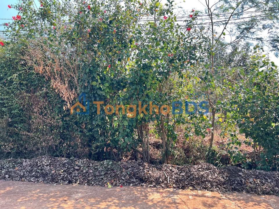 Đất nền Thôn 10 Eakhal, Đắk Lắk - 695 triệu/lô, tiềm năng sinh lời