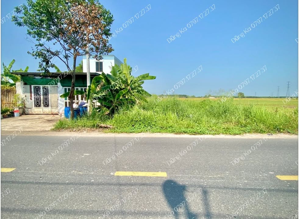 Bán Đất Mặt Tiền Đường Trung Lập, Củ Chi - 180m² Thổ Cư, Giá 1.6 Tỷ