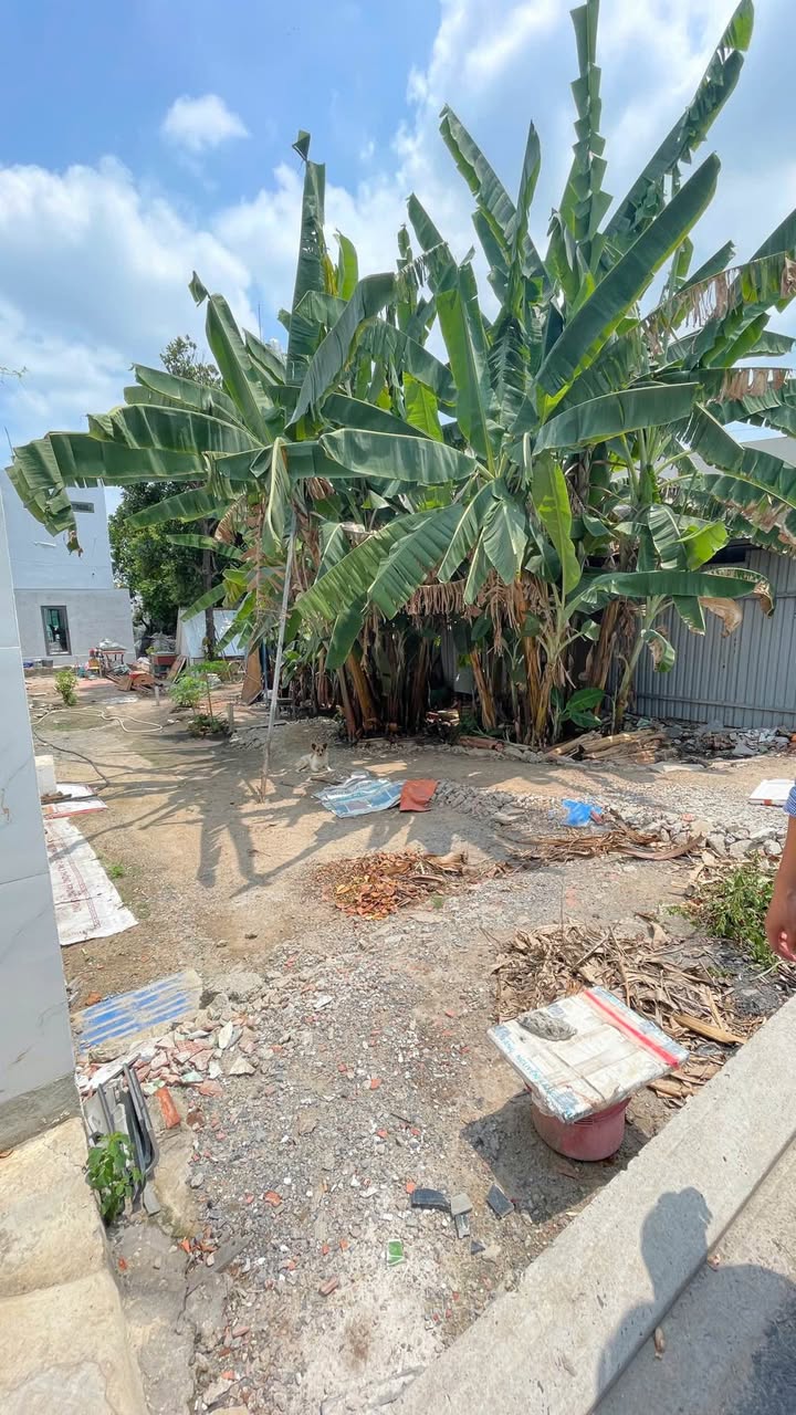 Bán Đất HT43 Quận 12: 100m² Hẻm 4m, Sổ Hồng Riêng - 5.15 Tỷ