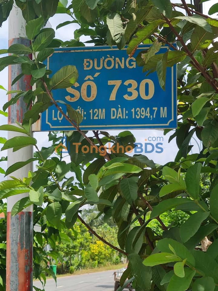 Đất Nền 2167m² Củ Chi - Sổ Hồng Sẵn Sàng, Giá Đầu Tư 3 Tỷ