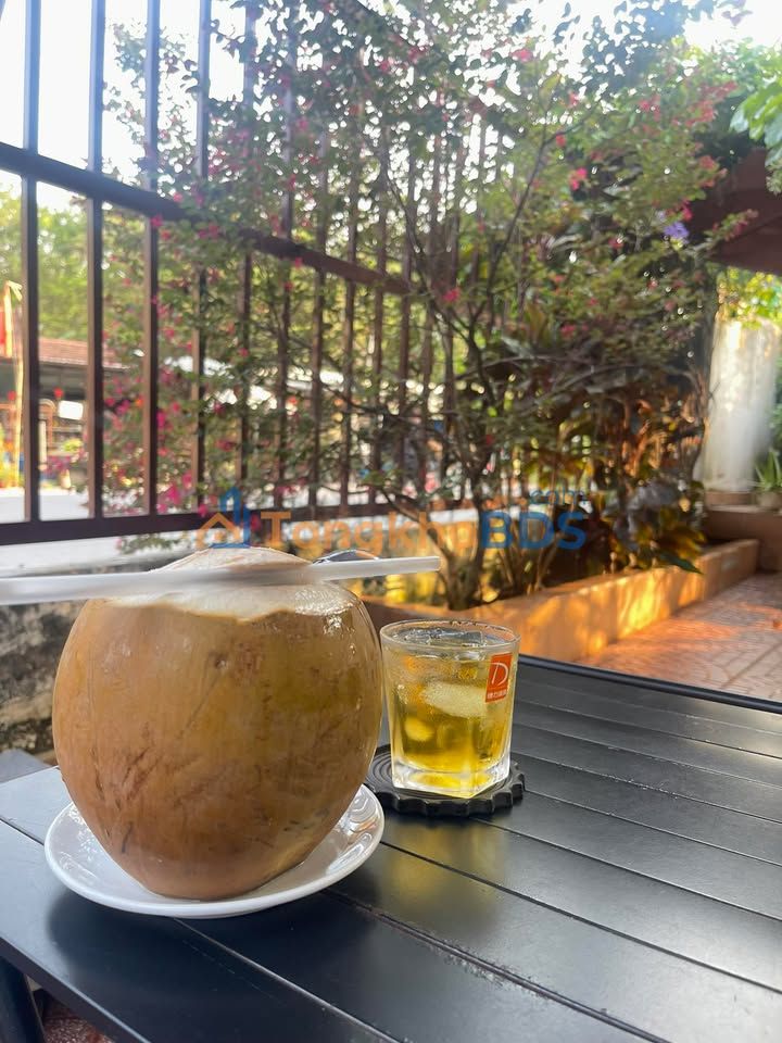 Đất Vườn 1180m² Củ Chi - Quy Hoạch Dân Cư, Đường Ô Tô Tới Đất, Giá 3.2 Tỷ