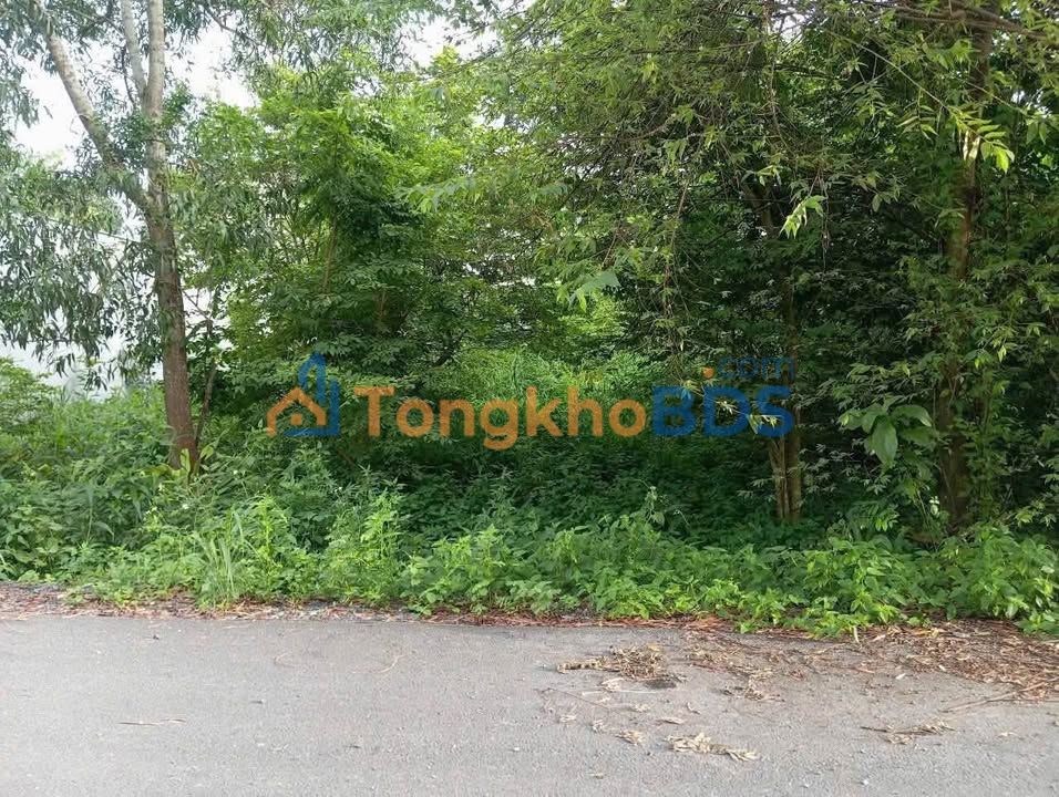 Bán Đất Mặt Tiền Đường 64, Củ Chi - 170m² Thổ Cư, Giá 2.3 Tỷ