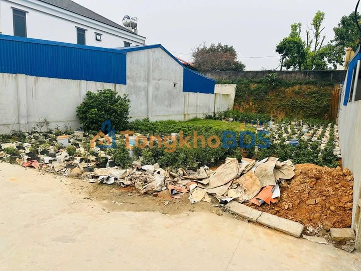 Đất nền 230m² Phường Thịnh Đán, TP. Thái Nguyên - Sổ hồng 100% thổ cư, 3.68 tỷ