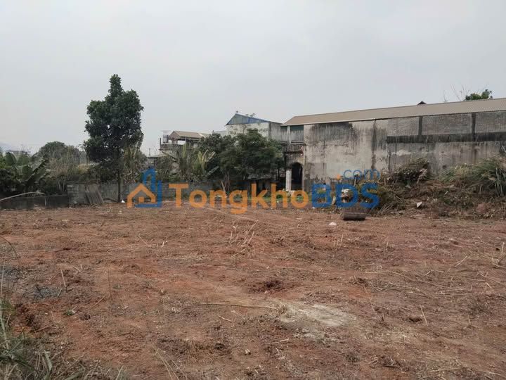 Bán Đất Nền 100m² Full Thổ Cư Gần Đường Tròn Tam Quan, Thái Nguyên - Giá Tốt