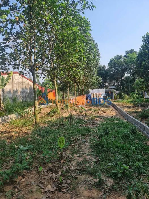 Bán Đất Vườn Tổ 5 Thịnh Đán, TP Thái Nguyên - 428m², Giá 2.2 Tỷ