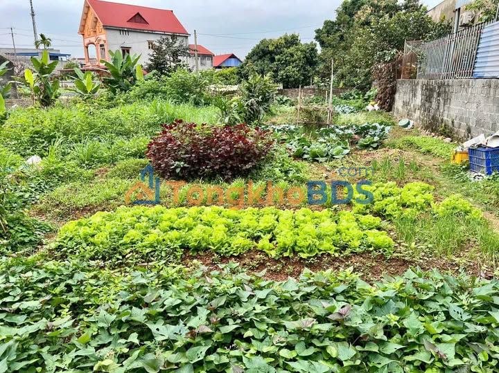 Đất nền 596m² trung tâm Phổ Yên, Thái Nguyên - Chỉ hơn 2 tỷ, sổ đỏ sẵn