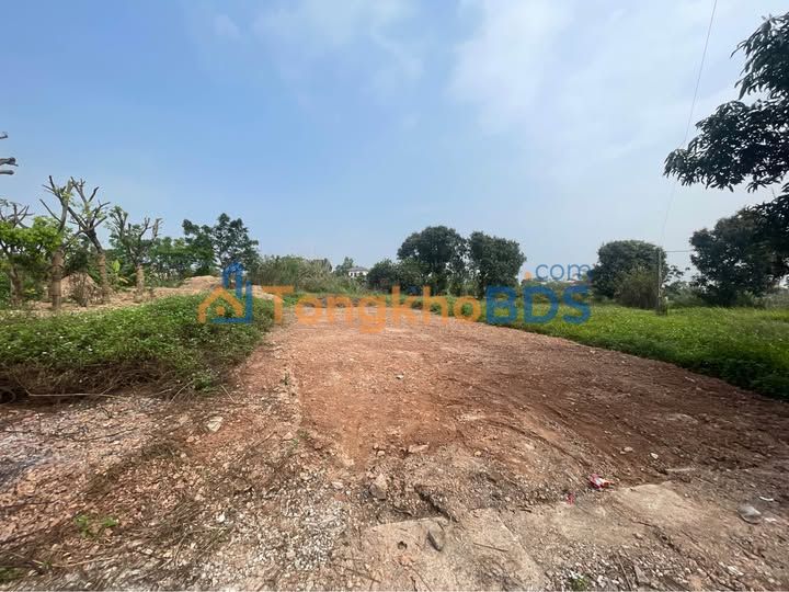 Đất nền Thịnh Đán 100m² - Lô đẹp giá đầu tư