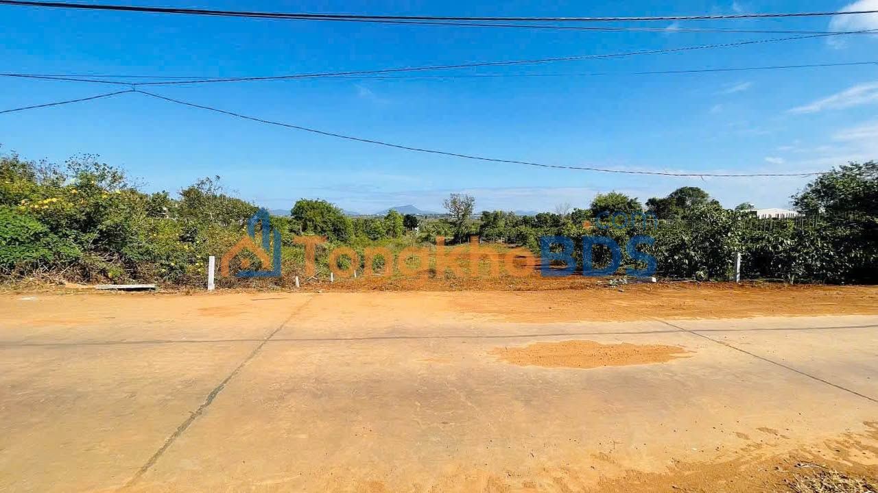 Đất Nền Hẻm Chính Bùi Dự - Pleiku 525m² Sổ Đỏ Thổ Cư 100% - Giá Đầu Tư 3.46 Tỷ