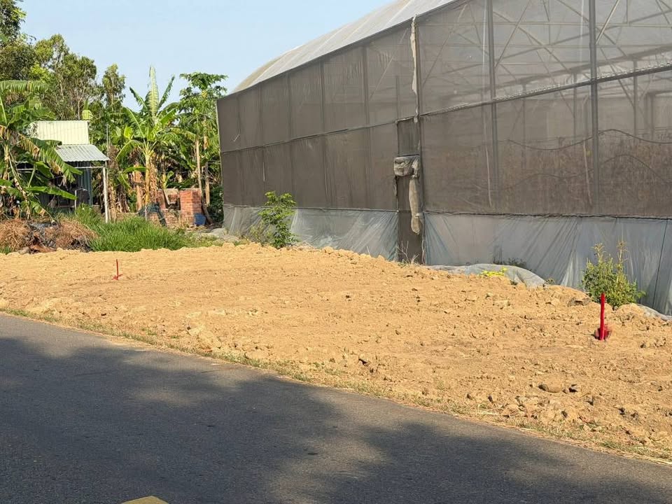 Đất Nền Mặt Tiền Nguyễn Huệ Đất Đỏ 3000m² - Sổ Hồng Riêng, Giá Đầu Tư F0