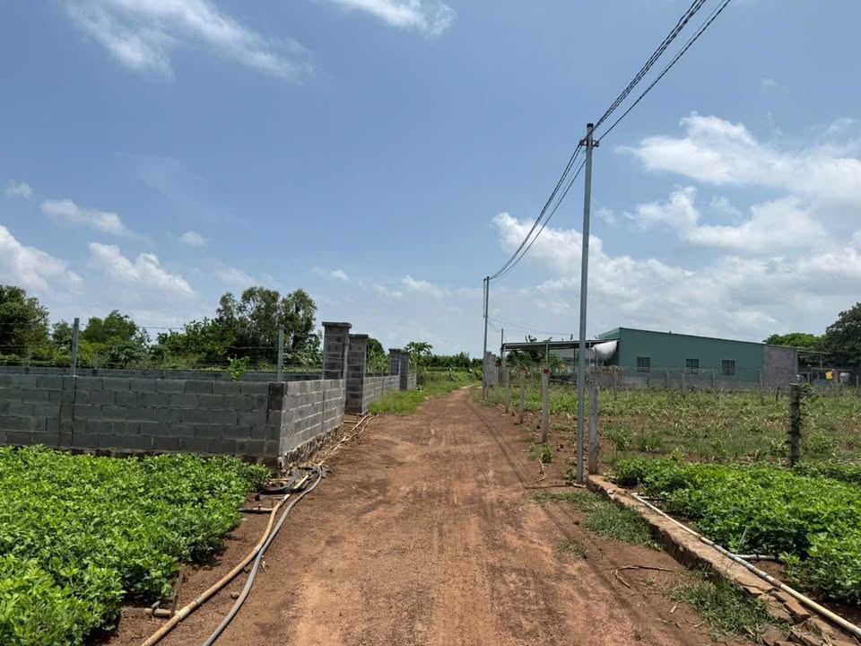 Đất nền Đất Đỏ BR-VT 506m² giá 7xx triệu - Đầu tư/Nhà vườn lý tưởng