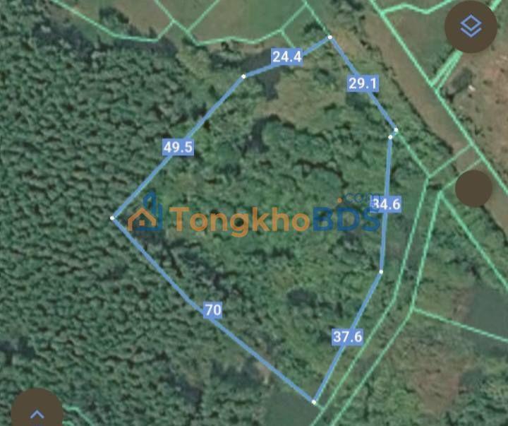 Đất Vườn 3800m² - Đầu Tư Farm Lý Tưởng Tại Đất Đỏ, Bà Rịa - Vũng Tàu