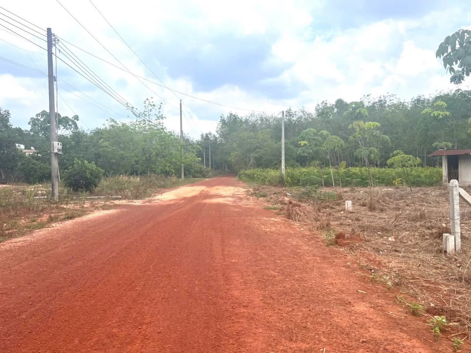 Đất Nền Long Hoà Dầu Tiếng 220m² - Sổ Hồng Riêng, Giá 400 Triệu