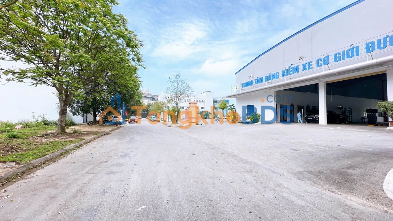 Đất nền mặt tiền 17.5m - Kinh doanh ô tô Xã Hoằng Quý, Thanh Hóa - 4 tỷ/lô