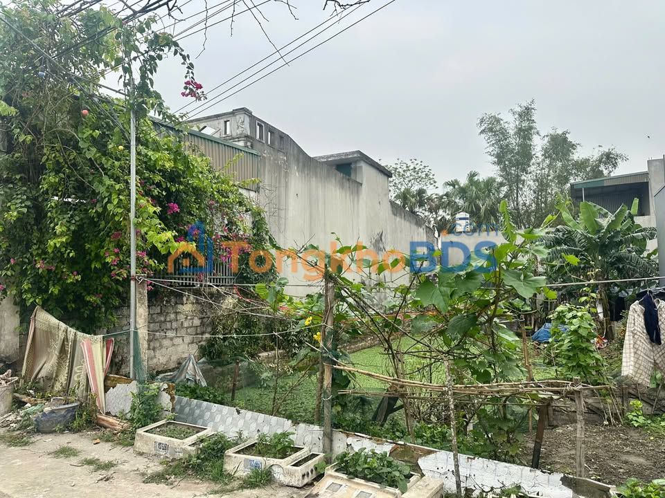 Đất nền Quảng Xương 98m² - Đối diện THPT Quảng Xương 1, Sổ đỏ sẵn sàng