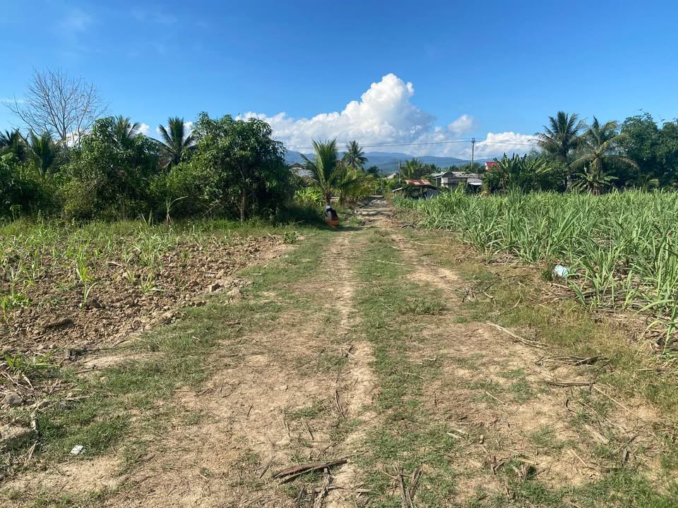 Đất Vườn Diên Đồng 2600m² - Giá Tốt Đầu Tư Nông Nghiệp