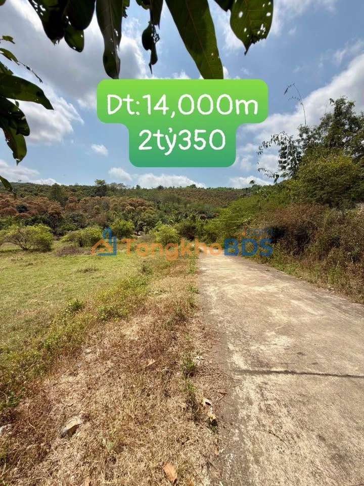 Đất Vườn Diên Thọ 14.000m² - Sổ Hồng Sẵn Sàng, Giá Đầu Tư 2.35 Tỷ