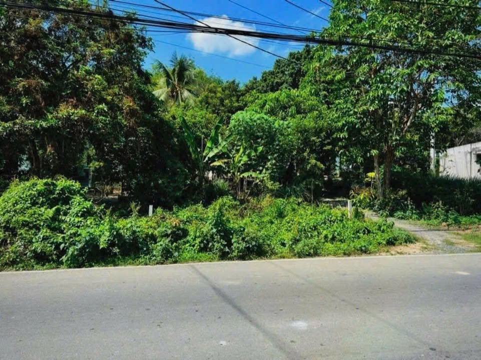 Đất Tỉnh Lộ 15 Củ Chi 1200m² - Vị Trí Vàng Đầu Tư