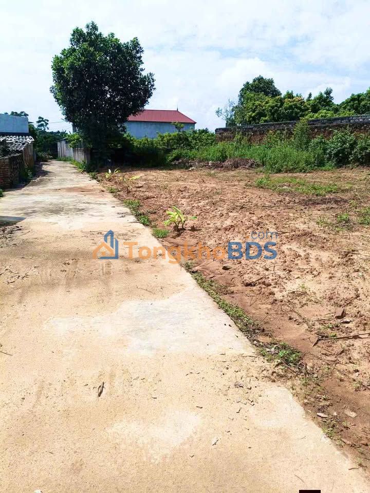 Đất Nền Lục Nam 85m² Full Thổ Cư - Sổ Đỏ Sẵn Sàng
