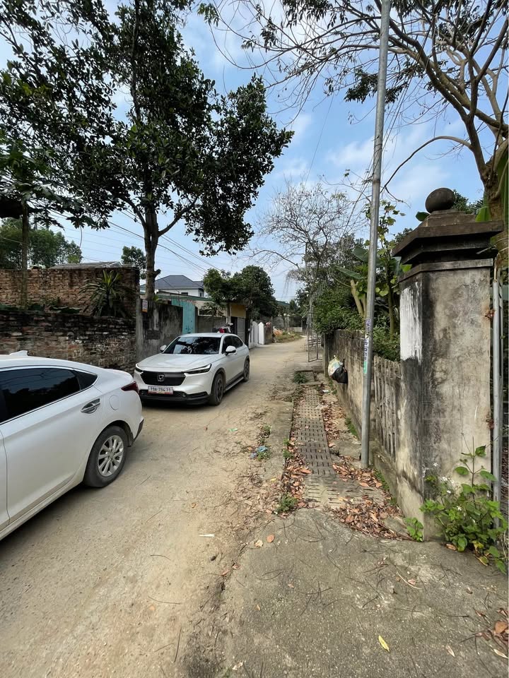 Đất Vườn 200m² Trung Tâm P. Phú Thọ - Có Nhà Sẵn Ở Ngay