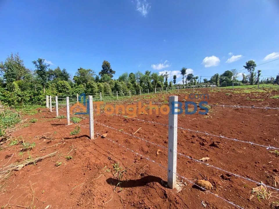 Đất Nông Nghiệp Buôn Ma Thuột 891m² - Sổ Riêng Giá Tốt