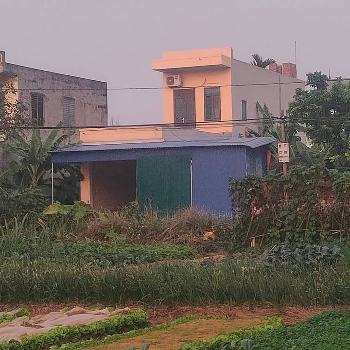 Nhà Mặt Đường 390 Thanh Hà, Hải Dương - Kinh Doanh Sầm Uất 82m²