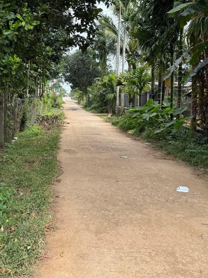 Bán Đất Thổ Cư 125m² K9, Tân An, Buôn Ma Thuột - Gần Góc, Sẵn Sổ