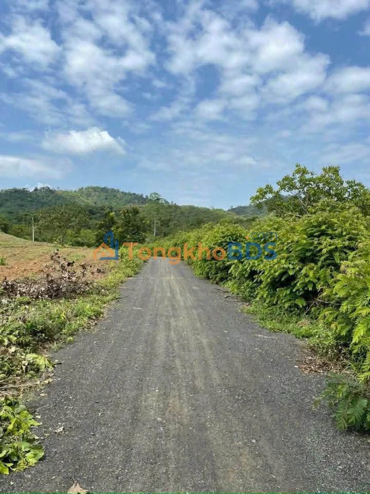 Đất Vườn Đắk Lắk 10400m² Giá 1.16 Tỷ - Sẵn Sàng Xây Nhà Nghỉ Dưỡng