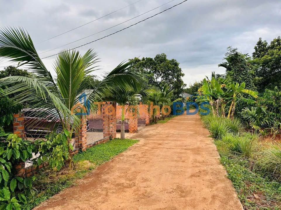 Đất Nền Hòa Xuân Nam 228m² - Sổ Sẵn, Giá 595 Triệu - Cơi Nới Dân Cư