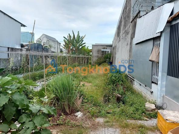 Đất Nền 115m² Vĩnh Hòa Hiệp, Châu Thành - Sẵn Sàng Xây Nhà, Giá 1.1 Tỷ