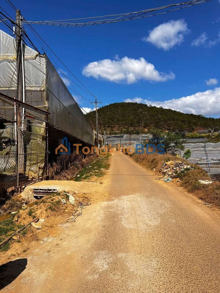 Đất Nền Làng Hoa Thái Phiên Đà Lạt 800m² - Sổ Riêng, Sẵn Sàng Sang Tên