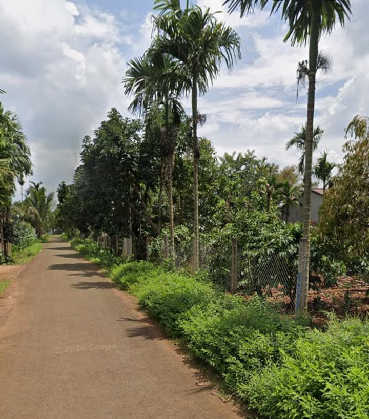 Đất Thổ Cư 125m² Hòa Thắng, Đắk Lắk - Sổ Đỏ Sẵn Sàng