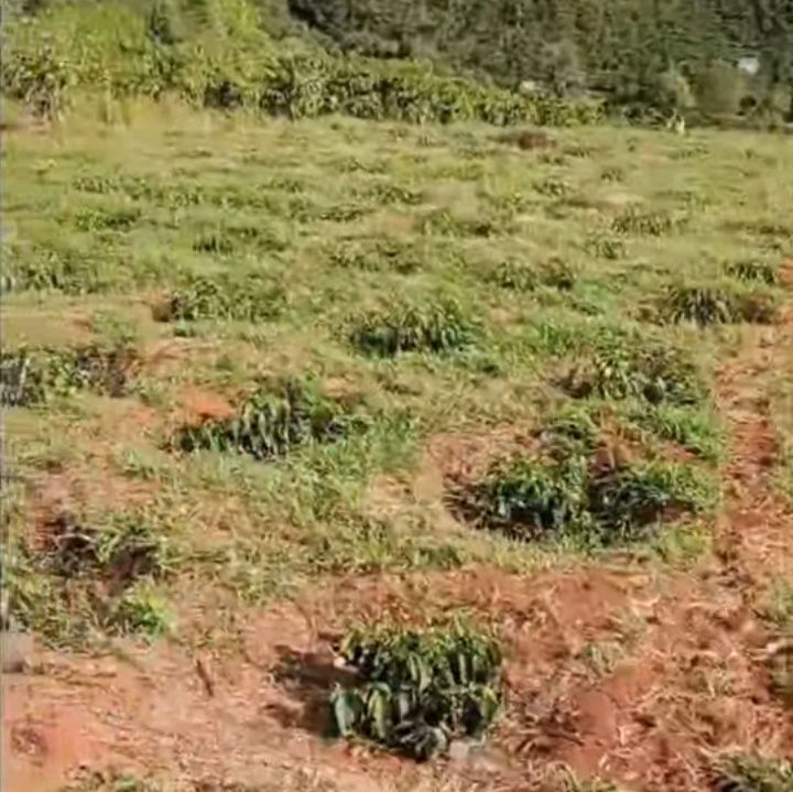 Đất nền 360m² Tân Thượng, Di Linh - Sổ hồng, Sẵn sàng xây dựng