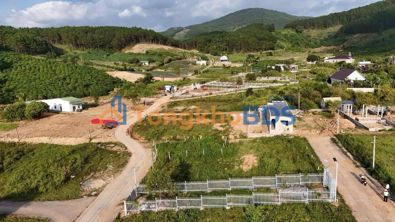 Bán Đất Nền Thôn 5 Nam Ban Lâm Hà 778m² - View Rừng Thông, Giá 1.2 Tỷ