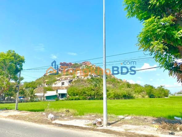 Đất Nền Ninh Thuận 410m² Full Thổ Cư - Gần Chợ Đầm Nại, Giá 2.6 Tỷ