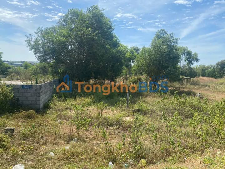 Đất Mặt Tiền Nguyễn Chí Thanh, Đồng Xoài - 196m² Thổ Cư, Giá F0