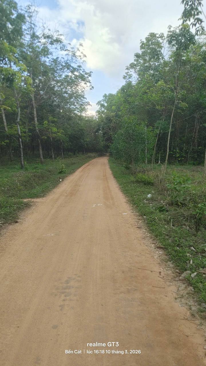 Đất Vàng 6240m² Đường Thanh Tuyền, Thủ Dầu Một - Sổ Hồng Riêng, Giá 5.X Tỷ