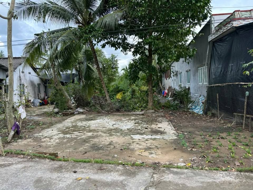 Đất Vườn Nghỉ Dưỡng 1548m² Cần Thơ - Sổ Thổ Cư, Lộ 4m Ô Tô