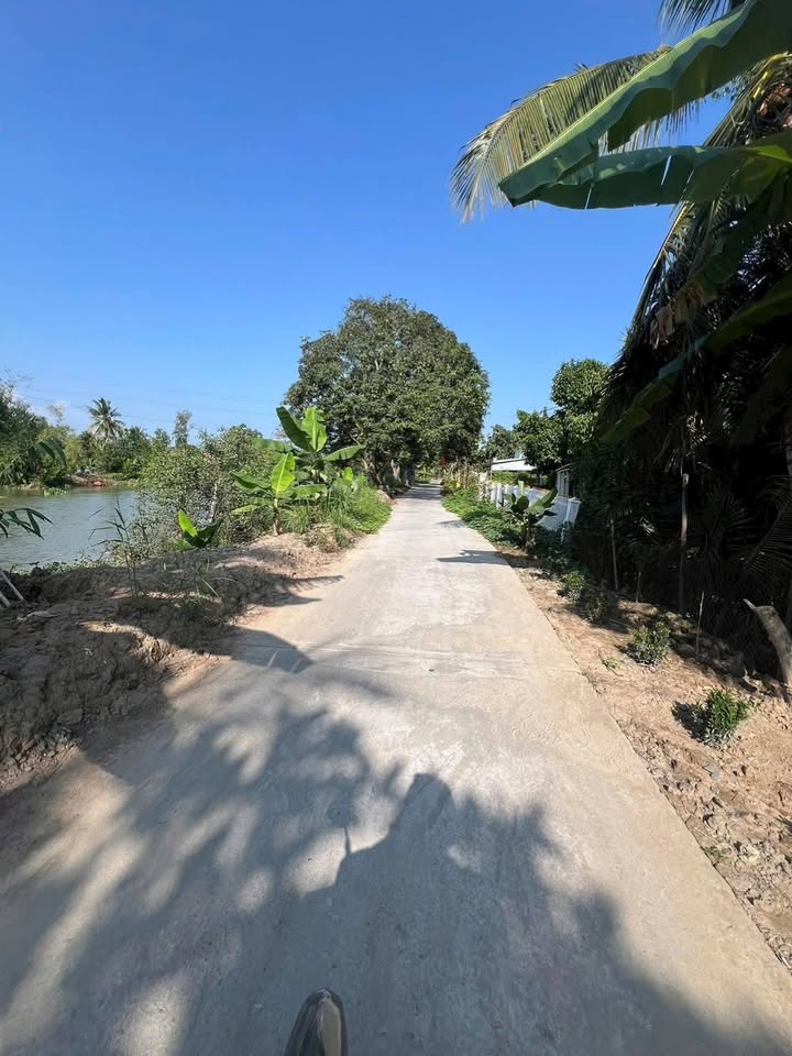 Bán Đất Tràm Bông, Cái Răng, Cần Thơ - 141m² Thổ Cư, Giá 280 Triệu