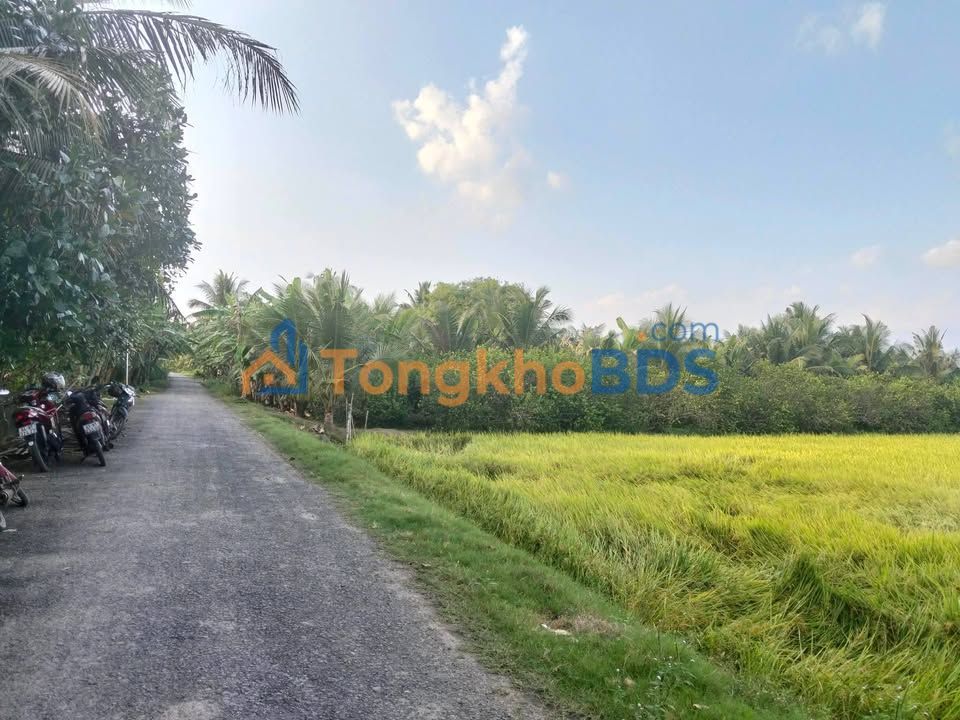 Đất nền Thới An Đông, Cần Thơ - 190m² Full Thổ Cư, Giá 490 Triệu