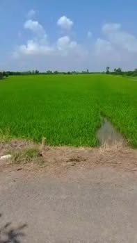 Đất Vườn Tiền Giang 23.000m² - 2 Mặt Tiền Sông & Kênh, Lộ Nhựa Xe Hơi