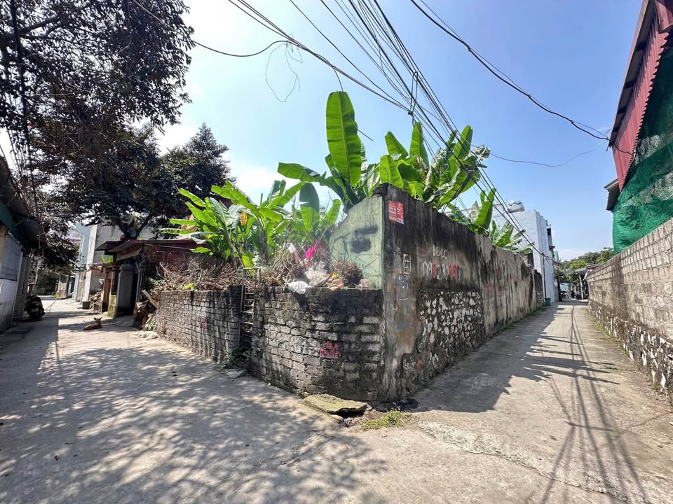 Đất nền Quảng Thắng 91m² - Hướng Đông Nam, Kinh doanh/Đầu tư