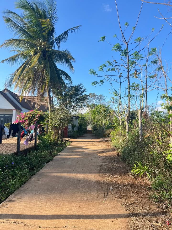 Bán đất thổ cư 150m² Xã Ea Tir, H. Ea H'leo - Giá 380 Triệu