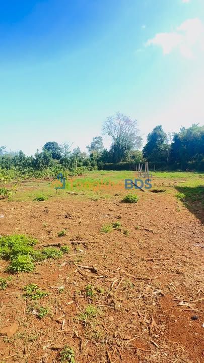 Đất Đỏ Bazan Krông Năng 2700m² - Mặt Tiền Đường 1.9 Tỷ