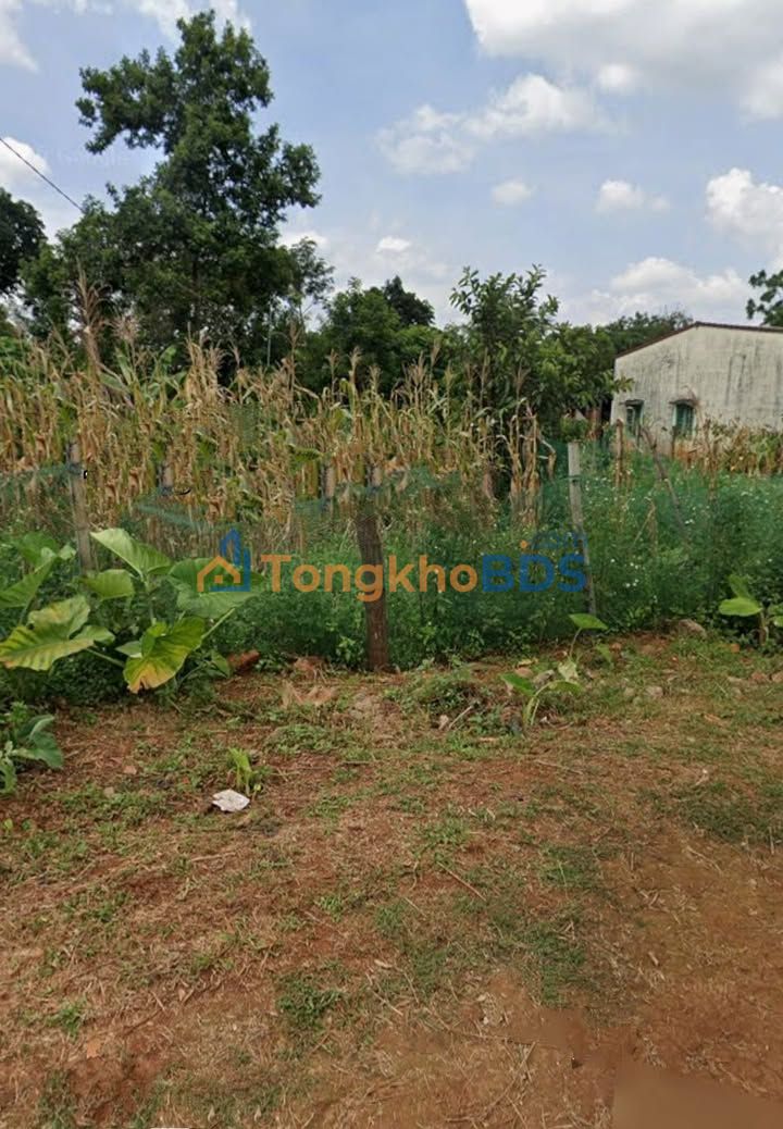 Bán Đất 2 Mặt Tiền Cư M'Gar, Đăk Lăk - 125m² Sổ Đỏ