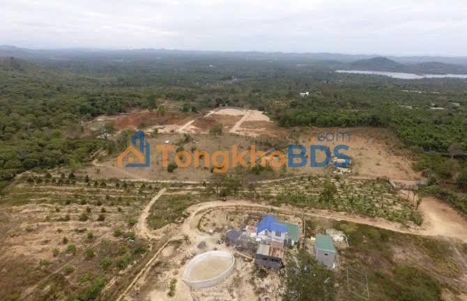 Farm 2ha Ea Kao, Buôn Ma Thuột - Giá 18 Tỷ, Sẵn Sàng Trồng Trọt