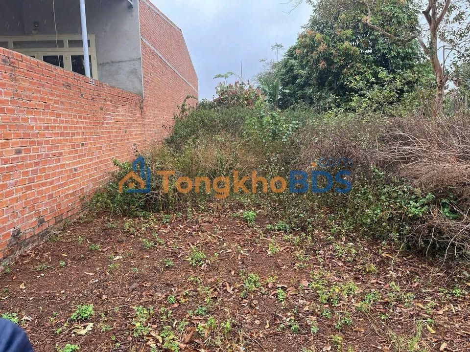 Bán đất Mặt tiền Đường Nhựa, Cư M'Gar, Đăk Lăk - 240m² Giá tốt