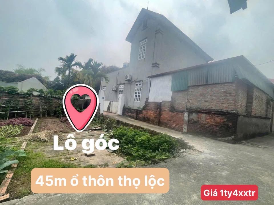 Đất Lô Góc 45m² Phúc Thọ - Chỉ 1.4 Tỷ, Sổ Đỏ Sẵn Sàng