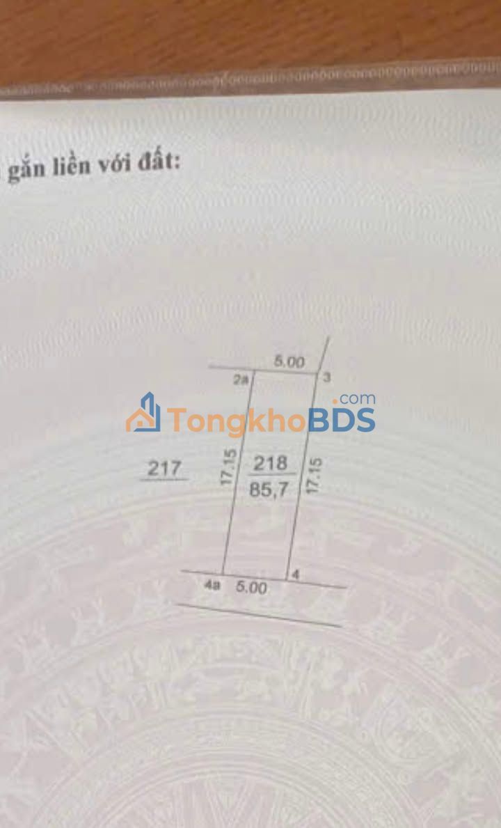 Bán Đất Tặng Nhà 80m² Ngọc Tảo, Phúc Thọ - Giá 3.x Tỷ, Sổ Đỏ Riêng