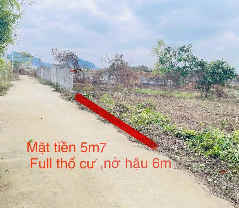 Bán Đất Ngọc Lương, Hòa Bình 121m² - Sổ Đỏ Full ONT, Giá Chỉ 300 Triệu